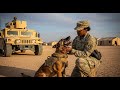 Officer cut a Black servicewoman’s K9 shift on the company yard — and then this happened
