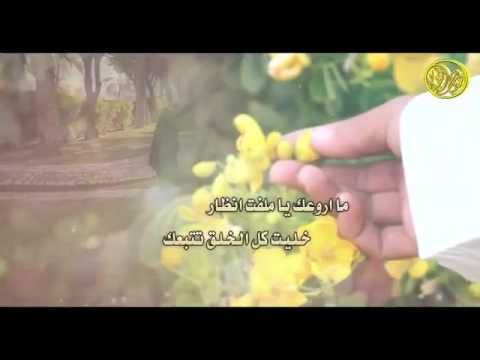 شيلة من دلعك