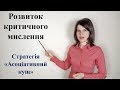 Розвиток критичного мислення. Стратегія "Асоціативний кущ"