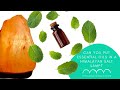 Can you put essential oils in a himalayan salt lamp