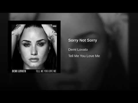 Sorry Not Sorry
