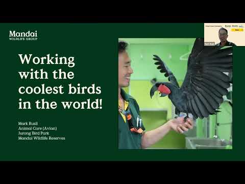 Conservation Champions Webinar:  Protecting Parrots