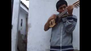 caballo viejo charango y zampoña