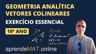 Vetores colineares | Geometria analítica 10º ano