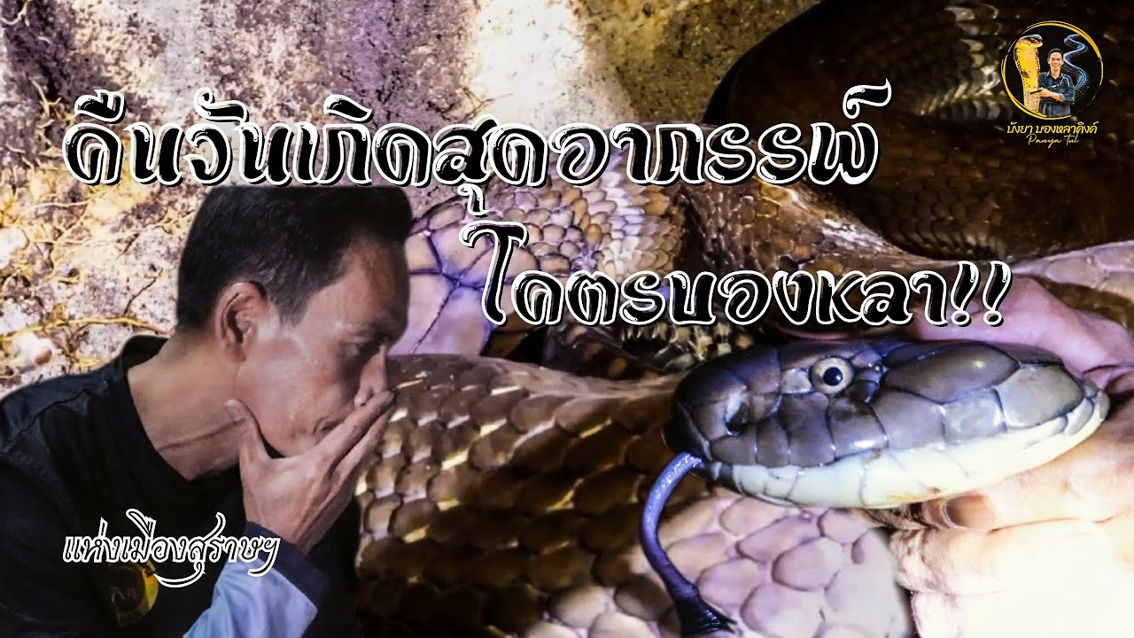 คืนวันเกิดสุดอาถรรพ์!! โคตรบองหลาแห่งเมืองสุราษฯ | #ไปได้ไปช่วยได้ช่วย..บังยาบองหลาคิงค์