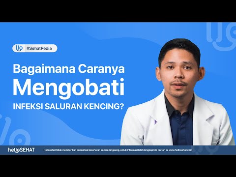 Video: Untuk obat infeksi saluran kencing?