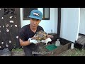 WOW SUMMER108「ジョージの夢ハウス」