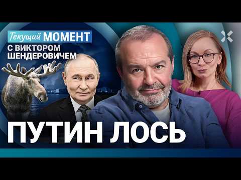 YouTube видео