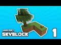 Minecraft | Sky Block | Ep 1