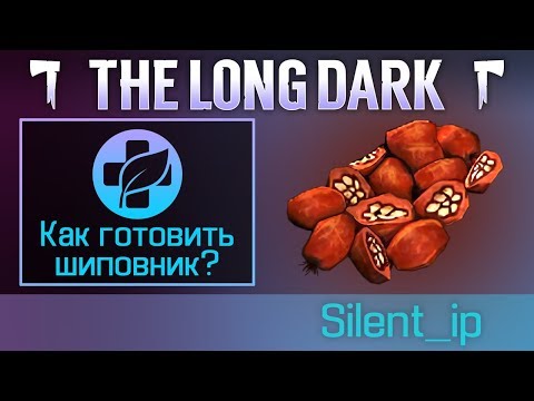 The Long Dark: Как готовить шиповник?