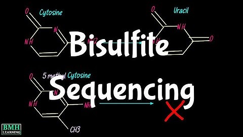Bisulfite Sequencing | Whole Genome Bisulfite Sequencing | WGBS | BiSeq | DNA Methylation Detection