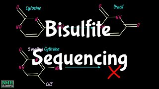 Bisulfite Sequencing Whole Genome Bisulfite Sequencing Wgbs Biseq Dna Methylation Detection
