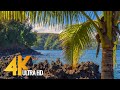 Tropical Beaches of Maui Island - 4K Relaxation Video with Waves Sounds and Birds Song - Part 3