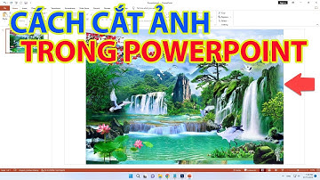 Cách Cắt Ảnh Trong Powerpoint | Cắt Hình Ảnh Trong Powerpoint