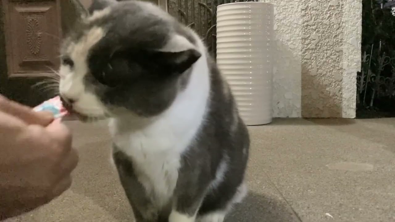 秋の夜長のおやつTime🍭🍂🌙✨