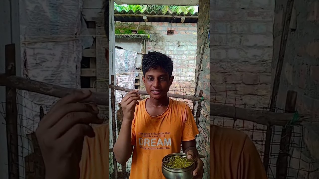 Survival Skills: SIMPLE but very USEFUL 