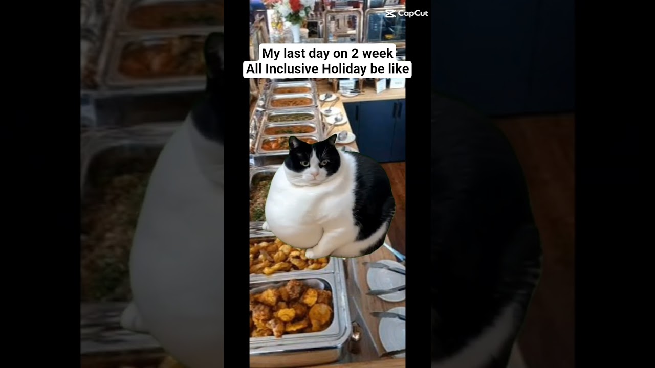 Last Day : All Inclusive Holiday