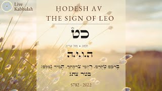 Av 2022 5782 | The Sign of Leo | Rabbi Shaul Youdkevitch screenshot 1