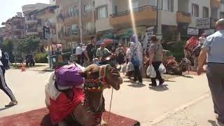 Bayindir Çi̇çek Festi̇vali̇nde Aci Var...