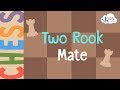 Ladder Checkmate Strategy in Chess