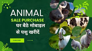 घर बैठे मोबाइल से पशु खरीदें| Animall Animal sale Purchase App for Android | Quick Review screenshot 4