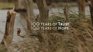 100 years of Trust, 100 years of hope