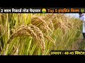 Top 5 hybrid paddy seeds  dhaan ki variety  dhaan ki top variety  dhaan ki best variety 2023