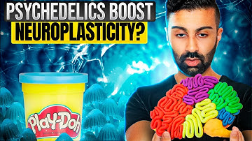 Reshape Your Brain Like Playdough: How Psychedelics Boost Neuroplasticity