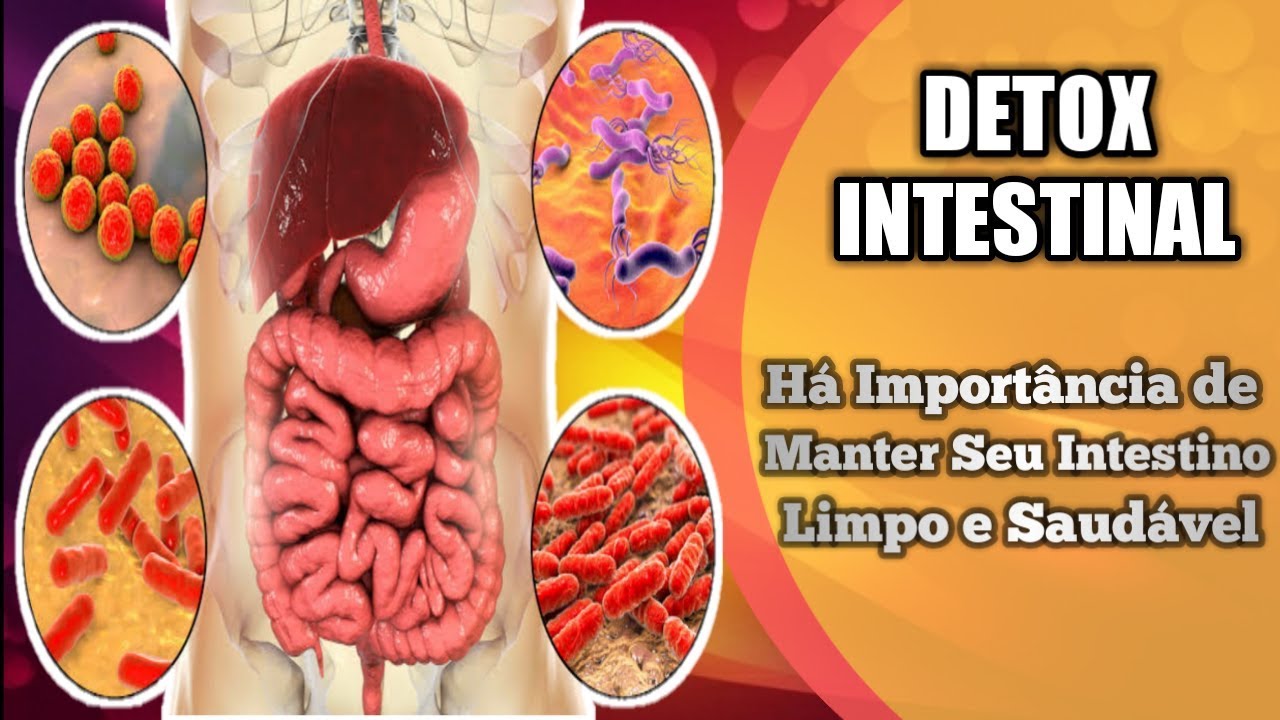 Como DESINTOXICAR O INTESTINO? - YouTube
