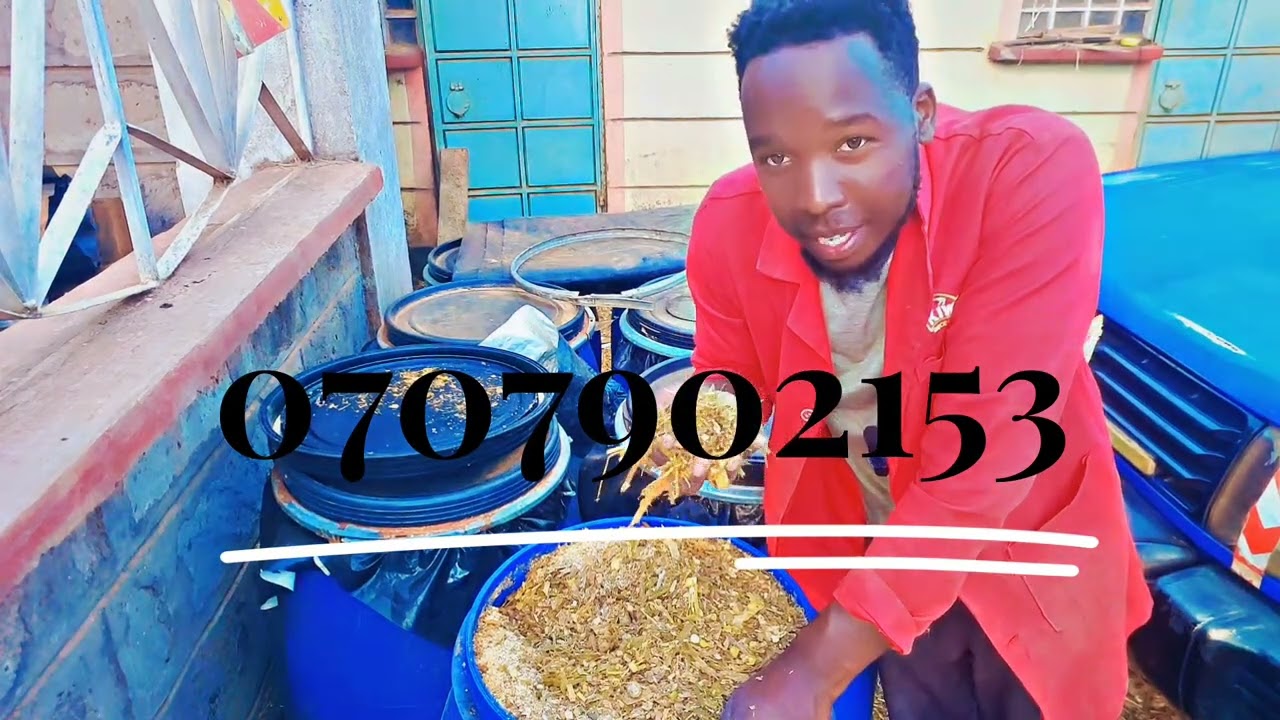 Silage Ready in Just 12 Days! 😱 Amazing Results