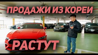 САМЫЙ АДЕКВАТНЫЙ ЦЕННИК НА АВТО ТЕПЕРЬ ИЗ КОРЕИ! ВАРИАНТЫ С ДИЛЕРСКИХ ПЛОЩАДОК И АВТО НАШИХ КЛИЕТНОВ