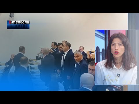 მათ [ოცნებას] არ უნდათ, რომ გაისმას სიმართლე საქართველოს პარლამენტიდან — ნინო დოლიძე