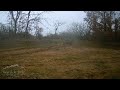 Lobo y corzo | Fototrampeo | Wolf and roedeer | Trail camera