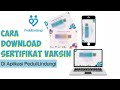 Cara Download Sertifikat Vaksin Di PeduliLindungi