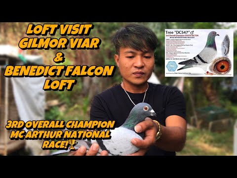 LOFT VISIT KAY GILMOR VIAR AT BENEDICT FALCON ANG 3RD OVERALL CHAMPION MC ARTHUR NATIONAL RACE