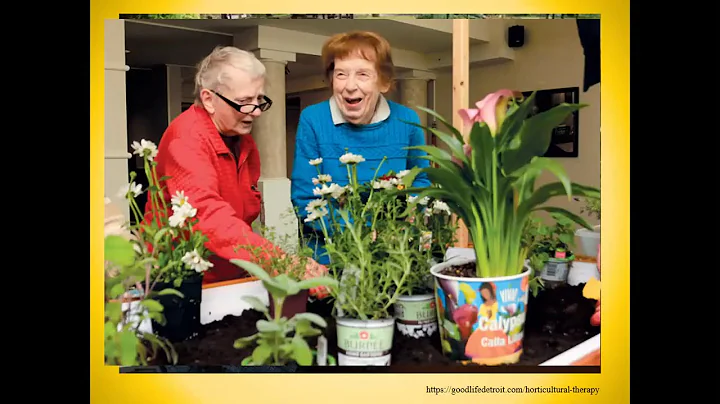 Houseplant benefits David Trinklein
