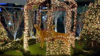 3-D Measurement with ARKit - House of Rudolph the Red-Nosed