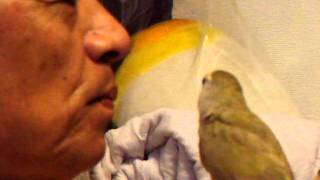 DSCF2476.avi