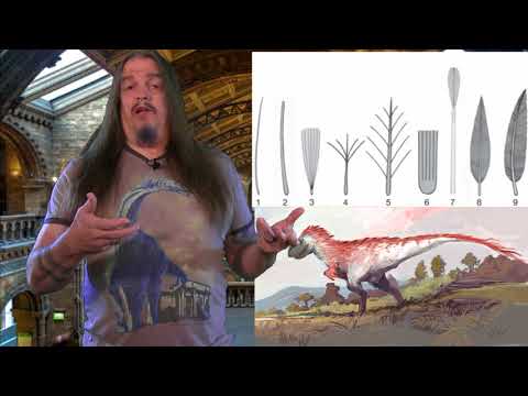 Systematic Classification of Life - ep32 Eutheria