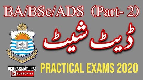 Datesheet for Practical of BA/BSc/ADS Part 2 | Punjab University Annual Exams 2020