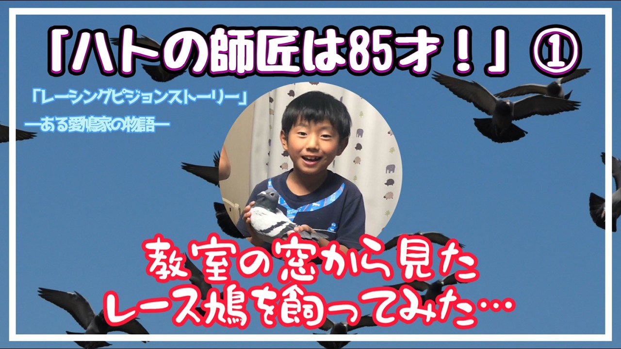 レーシングピジョンストーリー（ある愛鳩家の物語）「ハトの師匠は85才」①