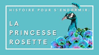 La Princesse Rosette | Histoire pour s'endormir | Conte de fées en français