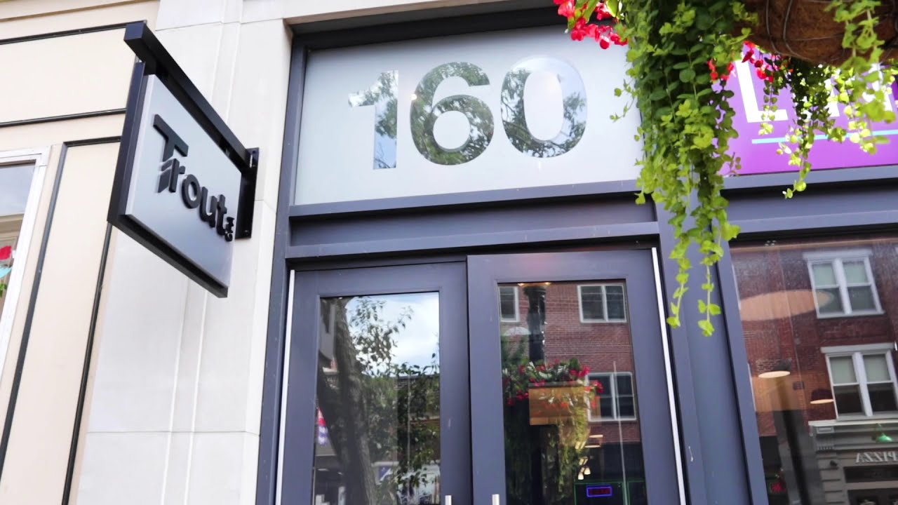 Office Remodel for Trout CPA YouTube