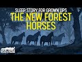 ENCOUNTERING THE NEW FOREST HORSES Long Sleep Story for Grown Ups | Storytelling and Rain