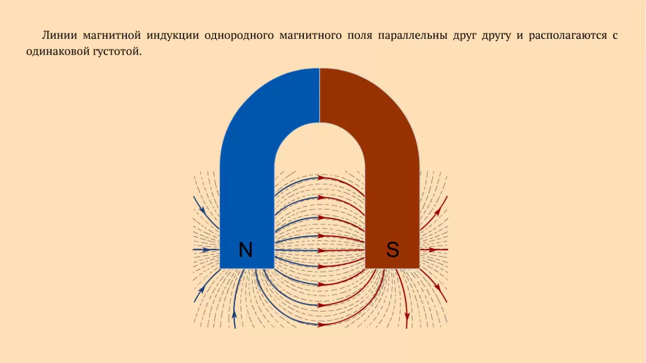 ⁣Однородное магнитное поле