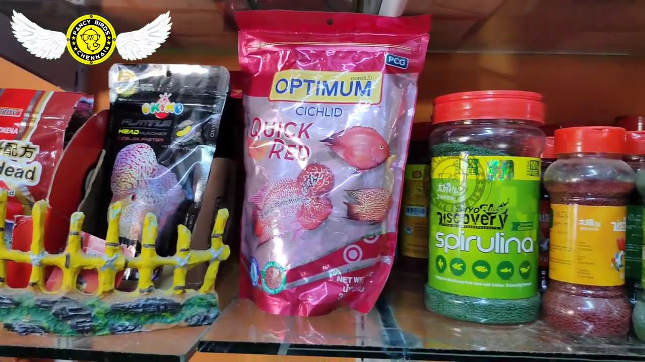 Chennai Pets & Aquarium Shop in Sithalapakkam தமிழில் fancy birds