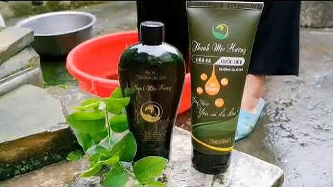 Thanh Mộc Hương - Review dầu gội đầu có nguồn gốc từ thiên nhiên 100%