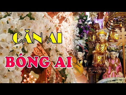 Video: Làm Thế Nào để Biết Ngôi Nhà Thuộc Về Trường Nào