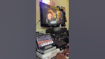 Holiday Bass on the @MoogSynthesizers Model D