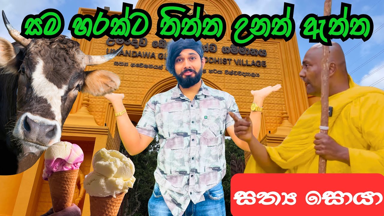 උමන්දාවේ හිම කිරම ජරාවක්ද? | සත්‍යය මොකද්ද? | Umandawa Vegetarian Food 